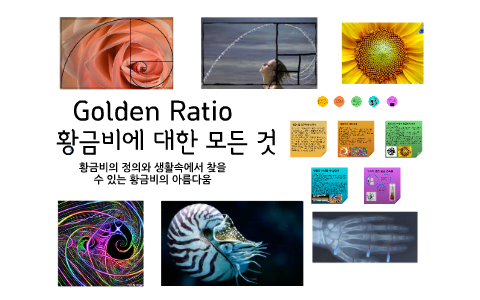 Golden Ratio by Marissa Teacher on Prezi