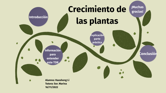 Creixement de les plantes by Haosheng Li on Prezi