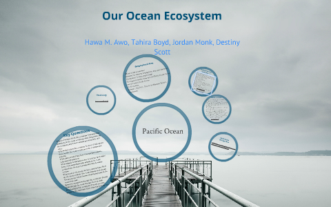 The Pacific Ocean Ecosystem by Hawaa Mohamed on Prezi