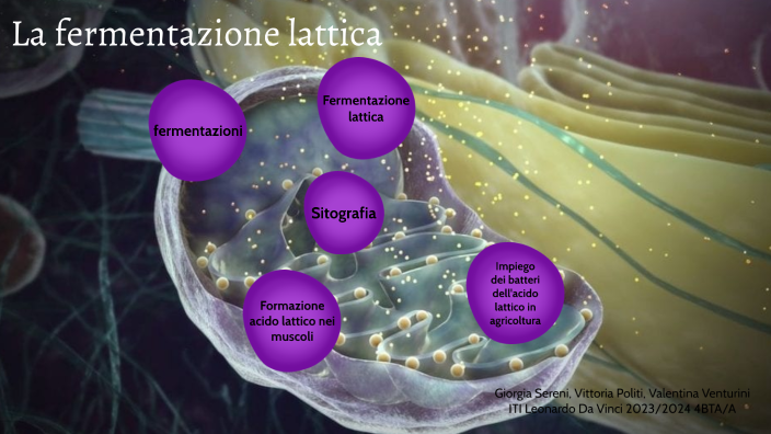 La fermentazione lattica by valentina venturini on Prezi