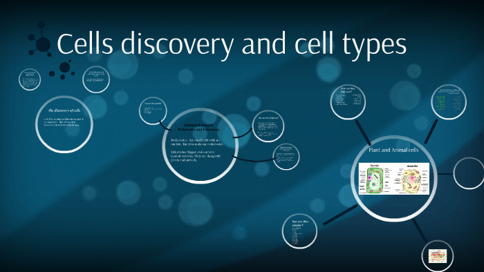 Cells discovery and cell types by Mandy Orona on Prezi