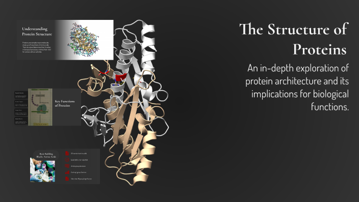 The Structure of Proteins by ZENA ZZ on Prezi