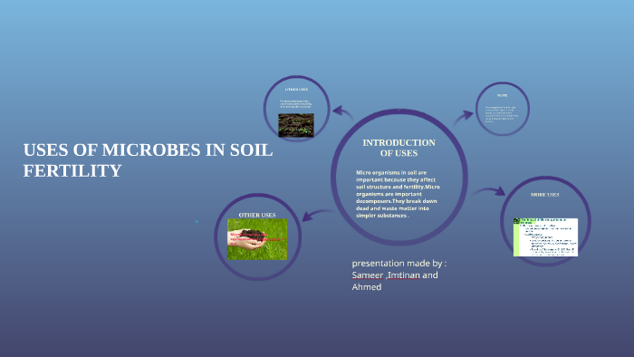 USES OF MICROBES IN SOIL FERTILITY by Sameer Shahzad on Prezi
