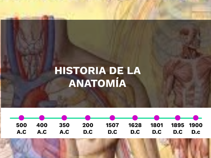 HISTORIA DE LA ANATOMIA by Valentina Giraldo on Prezi
