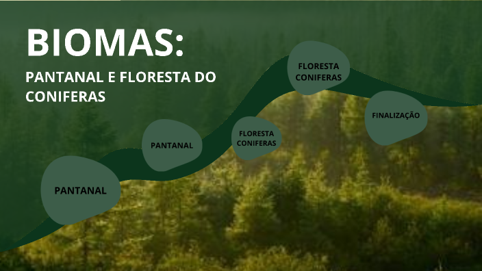 Apresentação Biomas by Caroline Mian on Prezi