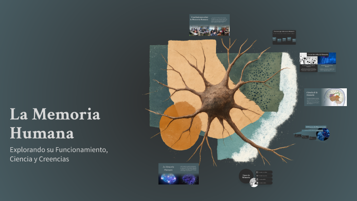 La Memoria Humana by Alejandra Rivas Colmenares on Prezi