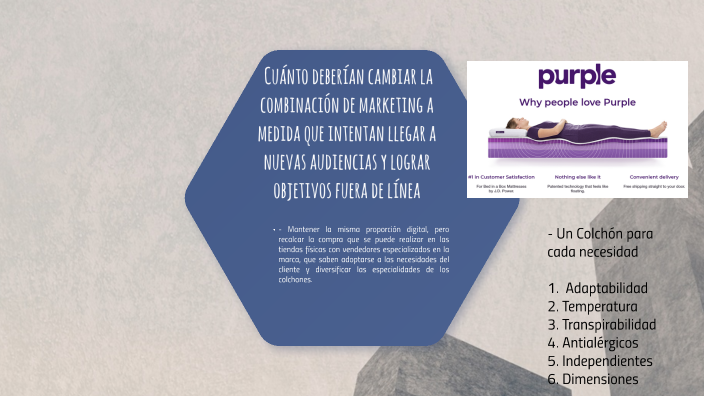 purple innovation inc case study
