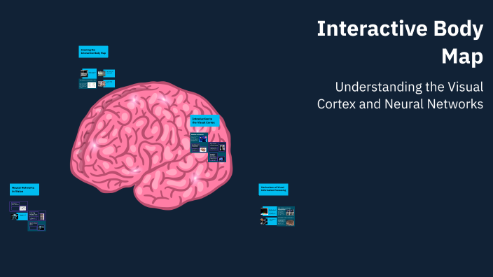 Interactive Body Map by Luca Makarigakis on Prezi