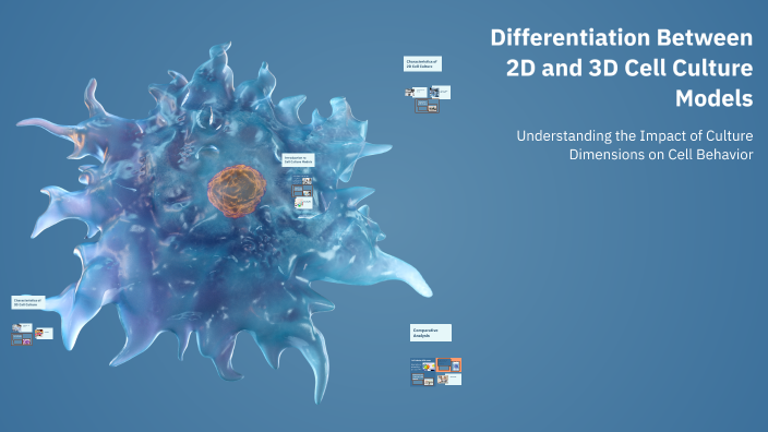 Differentiation Between 2D and 3D Cell Culture Models by Mahsa Sadeghi ...
