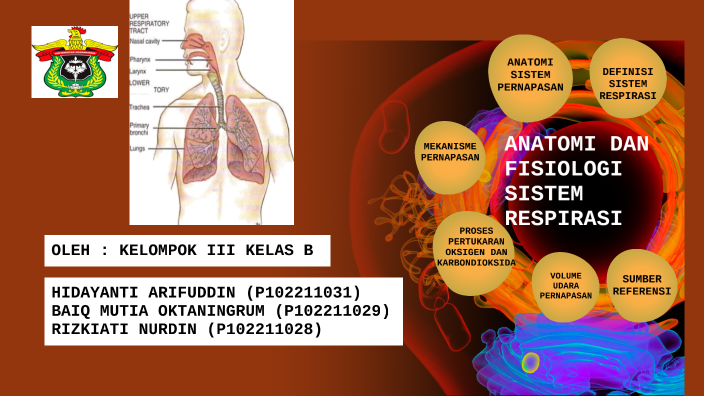 ANATOMI DAN FISIOLOGI SISTEM RESPIRASI by Achmad Randan on Prezi