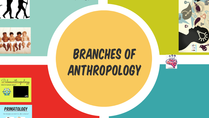 Branches Of Anthropology By Jessica Frias On Prezi