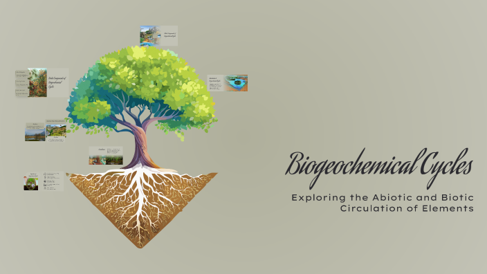 Biogeochemical Cycles by аружан совет on Prezi