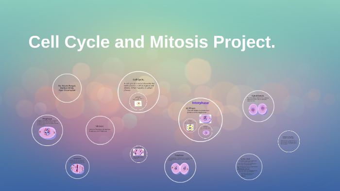 Cell Cycle and Mitosis Project by Valeria Rangel on Prezi