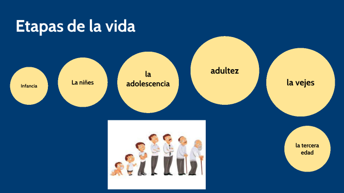 etapas de la vida by Marco Alexander Polo Gonzales on Prezi
