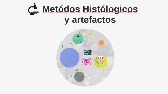 Metodos Histologicos Y Artefactos En Las Preparaciones