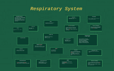 Respiratory System by 14ward_c Lasd.us on Prezi