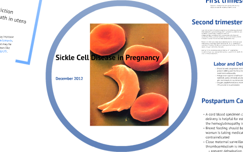 Sickle Cell Disease in Pregnancy by Colleen Hendershott on Prezi