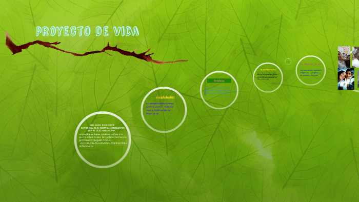 proyecto de vida by juan camilo ruano cortes on Prezi