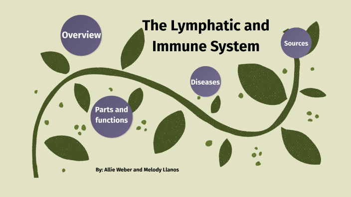 Lymphatic and Immune system by allie w on Prezi