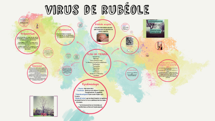 virus de rubéole by MĀri ŇĀz on Prezi