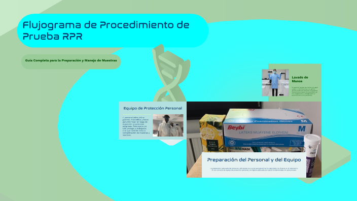 Flujograma de Procedimiento de Prueba RPR by Milagros Pinedo on Prezi