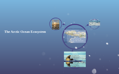 The Arctic Ocean Ecosystem by Teddy Dietrich