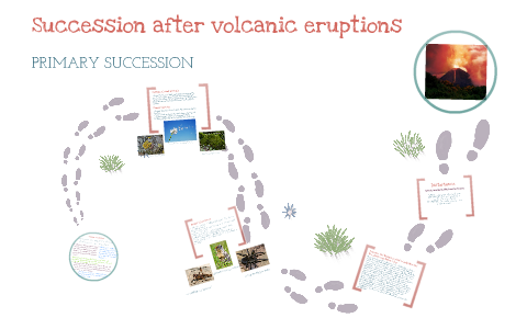 Witnessing Succession After A Volcanic Eruption Nature S Amazing Recovery - 3c654ek
