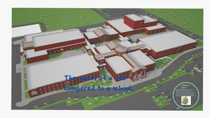 The parts of a cell compared to a school. by Alexisa L on Prezi