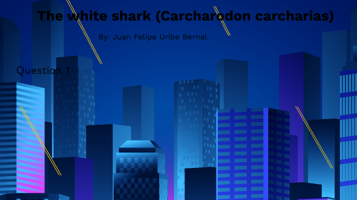 White Shark by Juan Felipe Uribe Bernal on Prezi