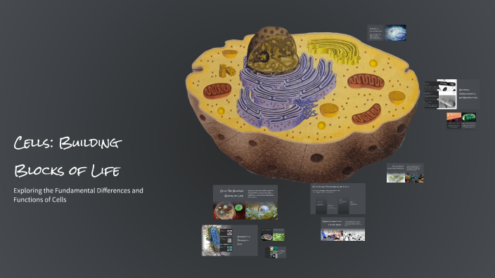 Cells: Building Blocks of Life by Evelyne Mulkalpally on Prezi