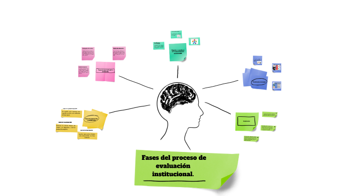 fases del proceso de evaluación institucional. by Mayra Carolina ...