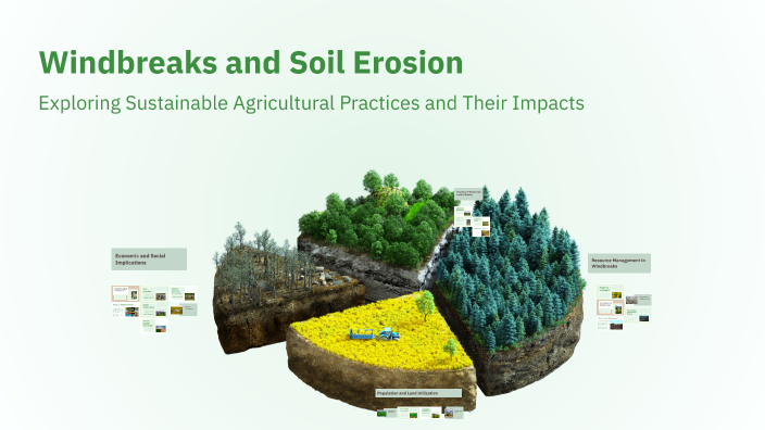 Windbreaks and Soil Erosion by Sadhana on Prezi