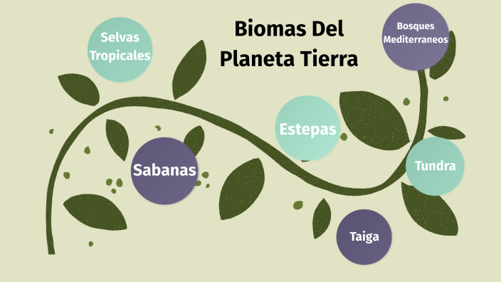 Biomas Del Planeta Tierra by evelyn sicha on Prezi
