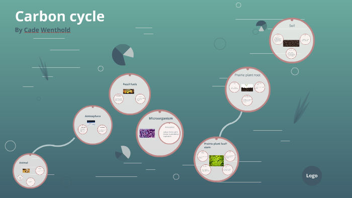 Carbon cycle by Cade Wenthold on Prezi