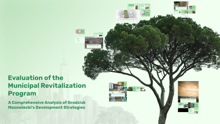 Evaluation of the Municipal Revitalization Program by Michał Marciniak ...