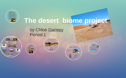 The desert by Chloe Gariepy on Prezi