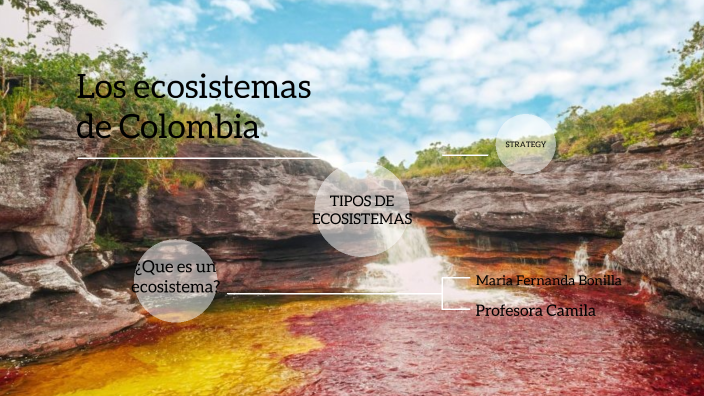 Los ecosistemas de Colombia by María Fernanda Bonilla Sánchez on Prezi