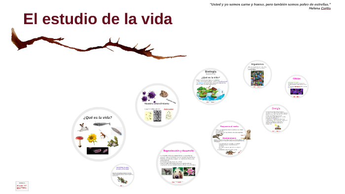 El estudio de la vida by Diana Guzman on Prezi