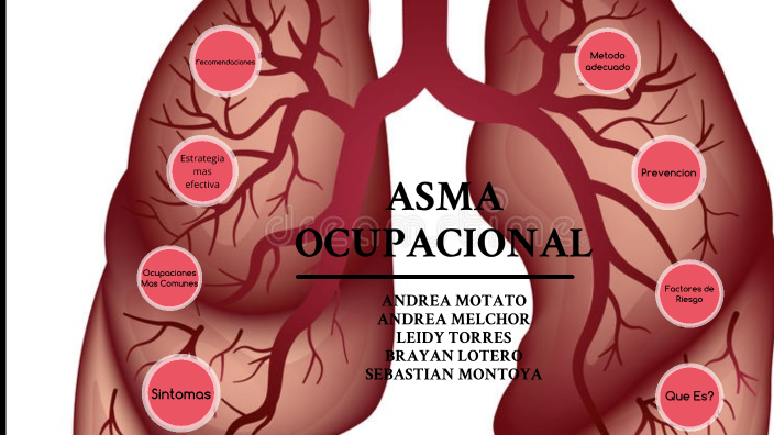 Asma Ocupacional Uni By Andrea Melchor On Prezi 3478