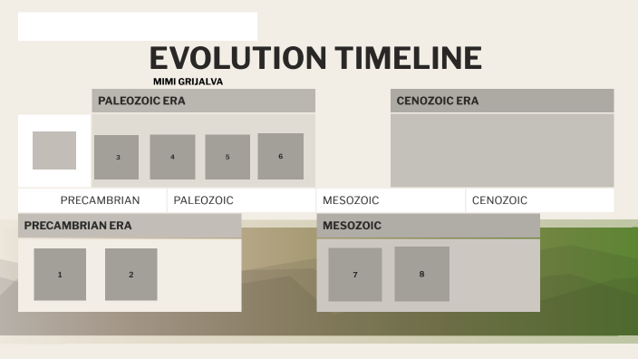 Erin Moriartys Evolution Before After A Complete Timeline - j5794pe