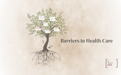 barriers care health