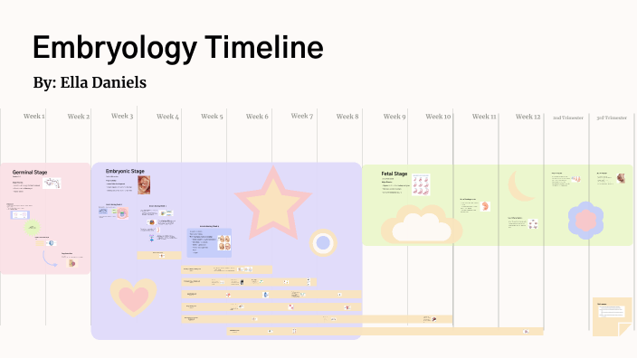 Embryology Timeline by Ella Daniels on Prezi