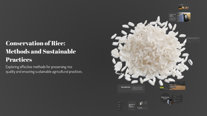 Save Rice Conservation of Rice: Methods and Sustainable Practices by Berta Suede ...