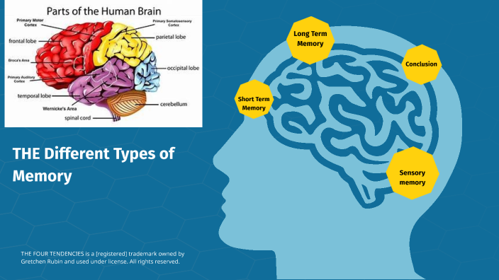 Hailie karanja, The four different types of memory. by Hailie karanja ...