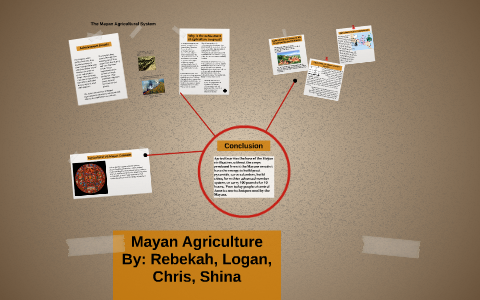 Mayan Agriculture by Shina Chang on Prezi