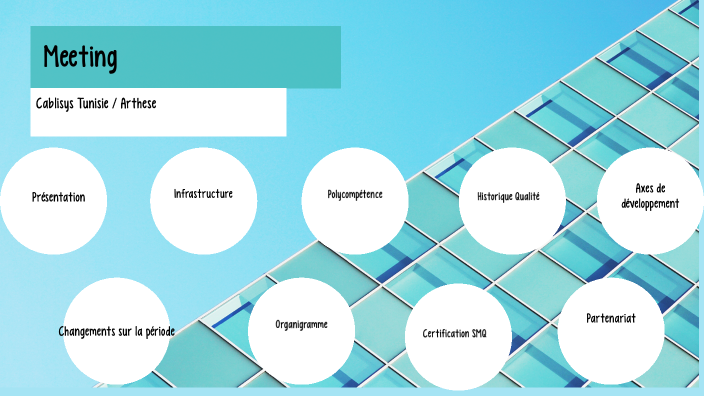 Meeting Cablisys Tunisie / Arthese by Adnen BELAID