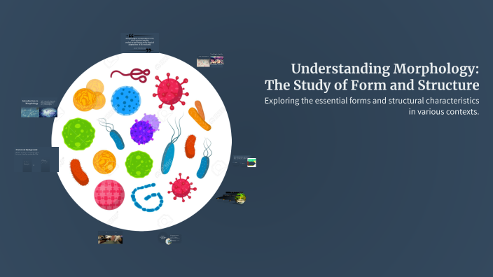 Understanding Morphology: The Study of Form and Structure by Mallinath ...