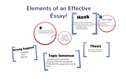 what are the main elements of an essay