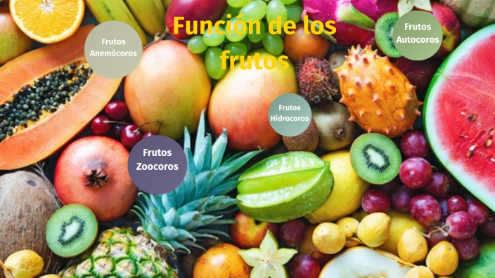 Función Frutos by Bryan Simba on Prezi