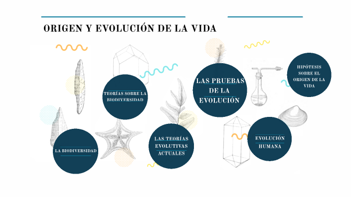 EL ORIGEN Y LA EVOLUCIÓN DE LA VIDA by Alicia Del Puerto Morato on Prezi
